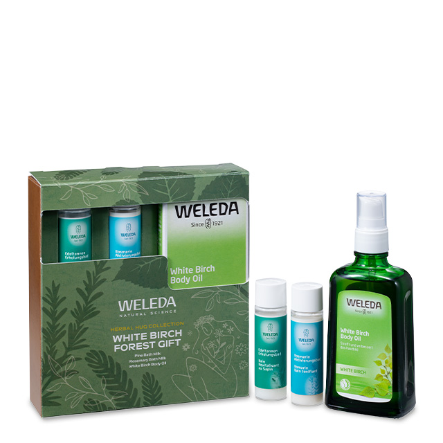 ホワイトバーチ フォレストギフト 2025