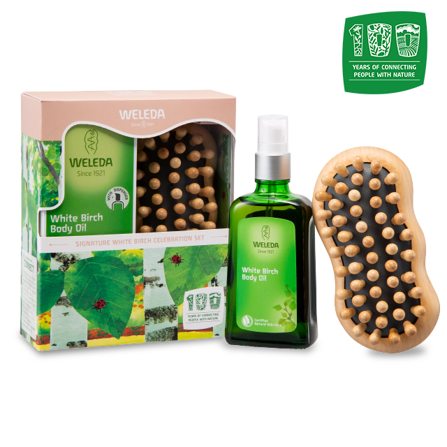 シグネチャー ホワイトバーチ セレブレーションセット