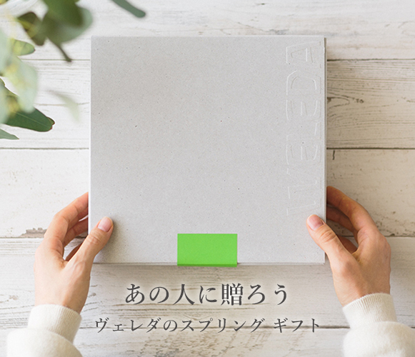 202403_spring_giftヘッダー