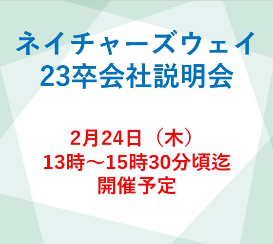20233年 新卒採用