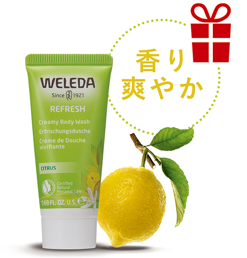 summerCP_プレゼント