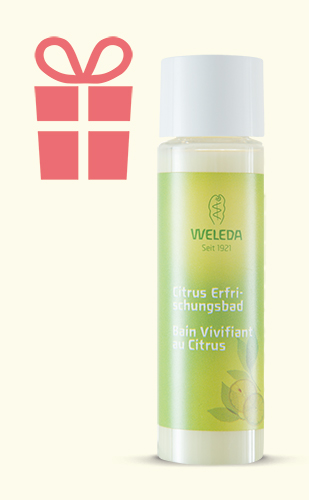 WBCP_プレゼント