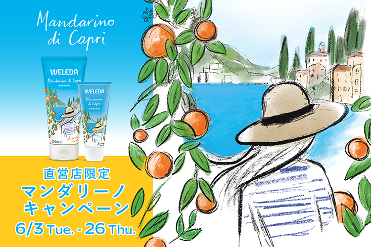 1-1_マンダリーノCP_ヘッダー