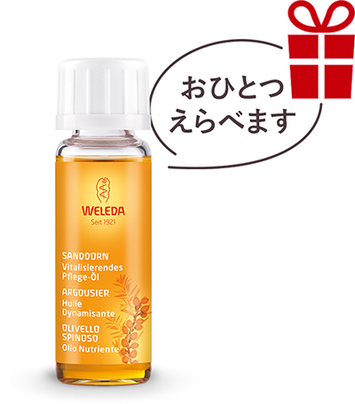 1-2_202504_プレゼント