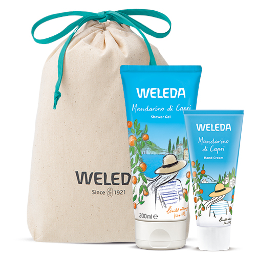 1-3_サマーボディケアセット