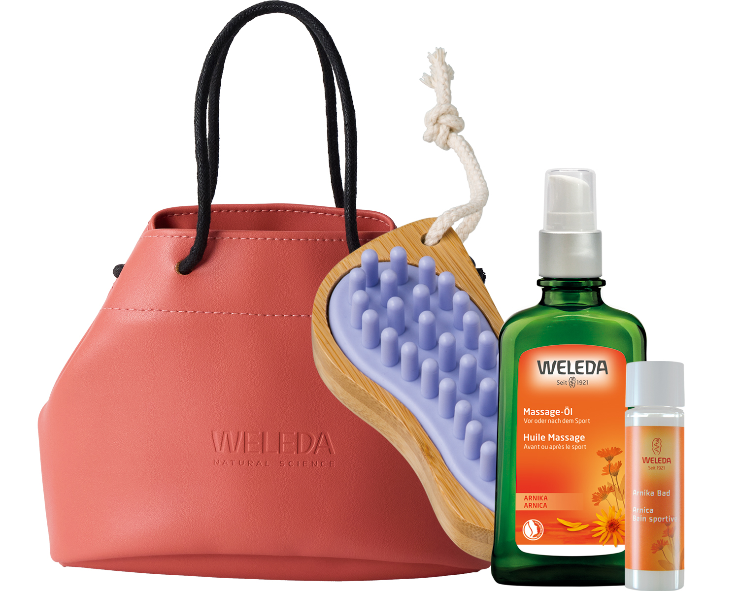 1-4_ルミナリエ2026_アルニカ