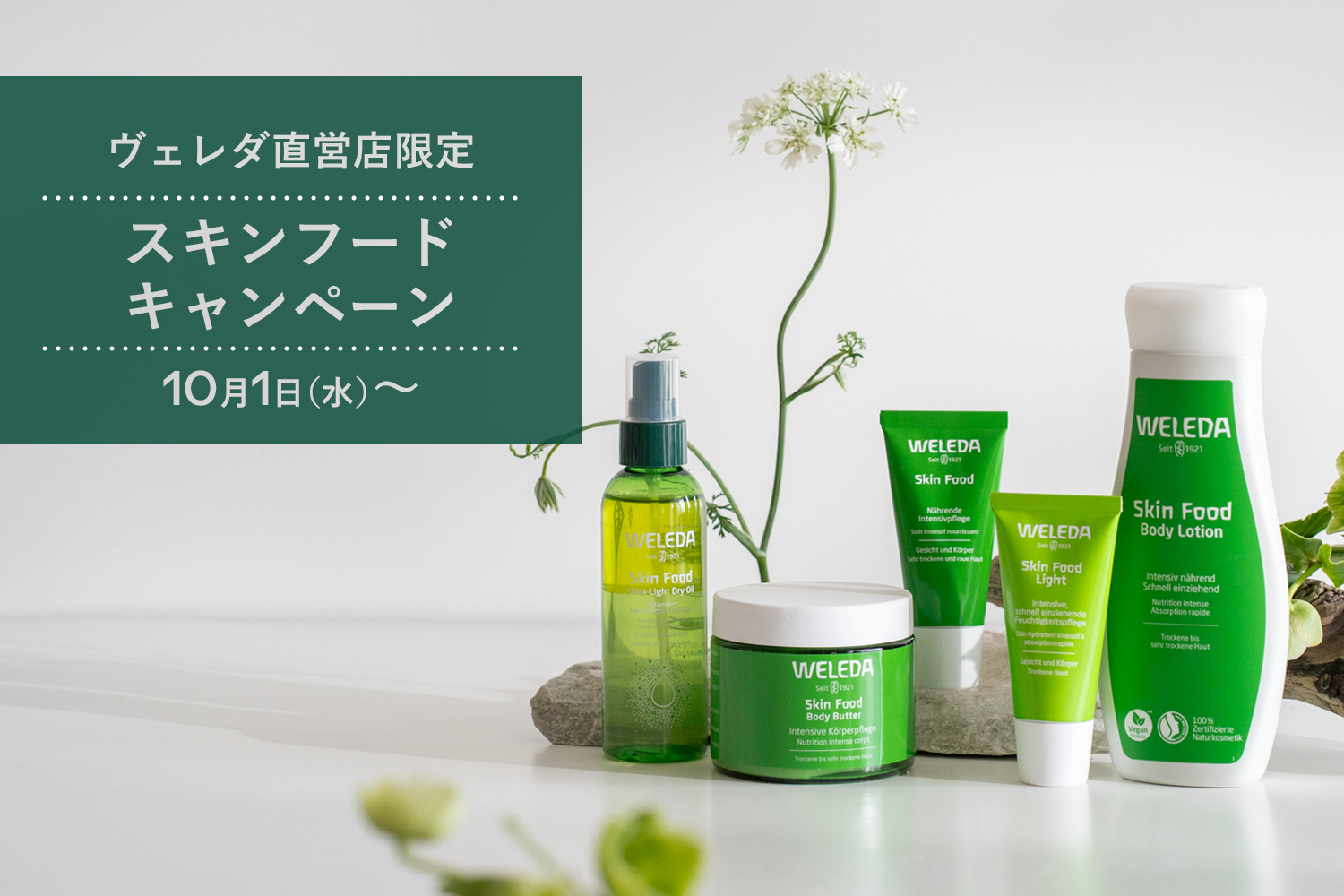 2-1_スキンフードCP_header