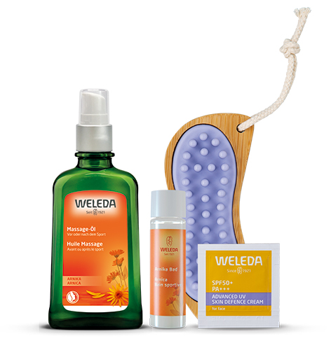 4-4_春のサポートセット