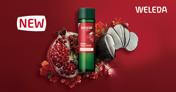 5-1_202408_ざくろEXご予約CP_header