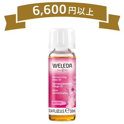 5-2_プレゼント6600