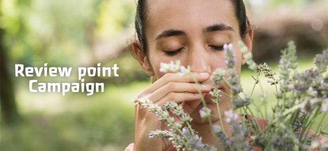 レビュー投稿で100ptプレゼント!