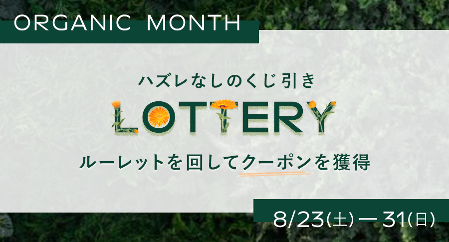 ＜ハズレなしのくじ引き開催中＞ 最大1000円OFFクーポンが当たる