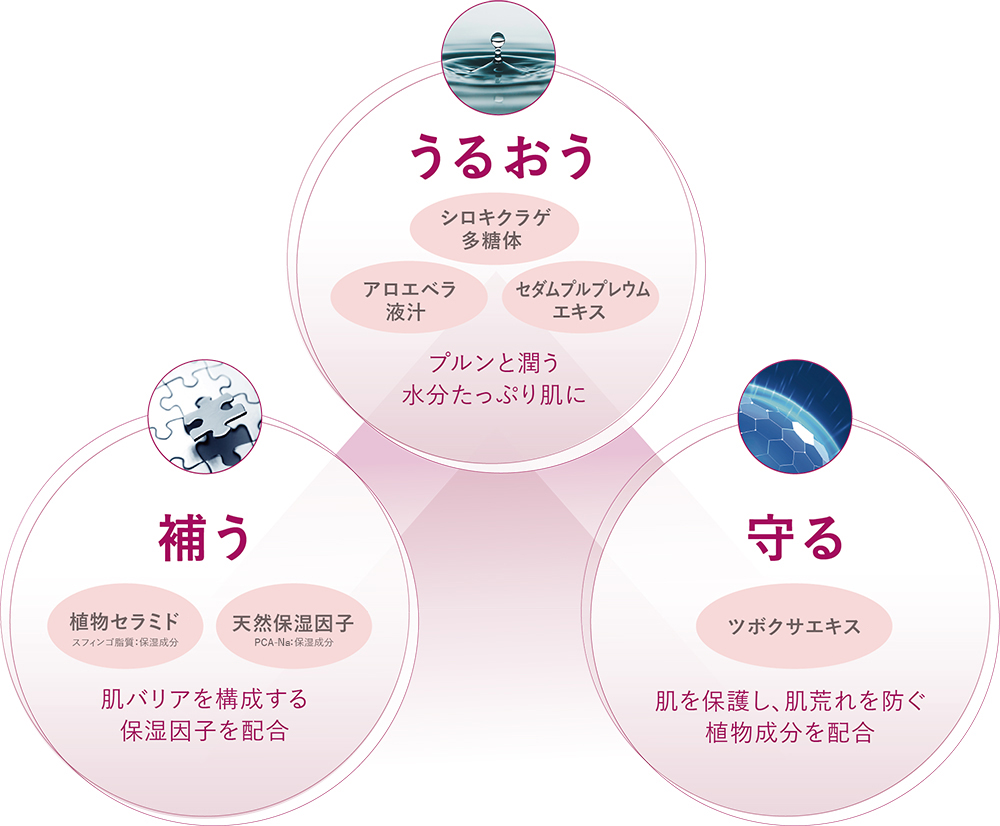 肌を守るチカラに着目